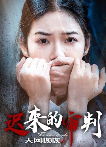 天網恢恢之遲來的審判(全集)