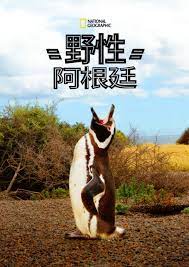 國家地理 野性阿根廷(全集)