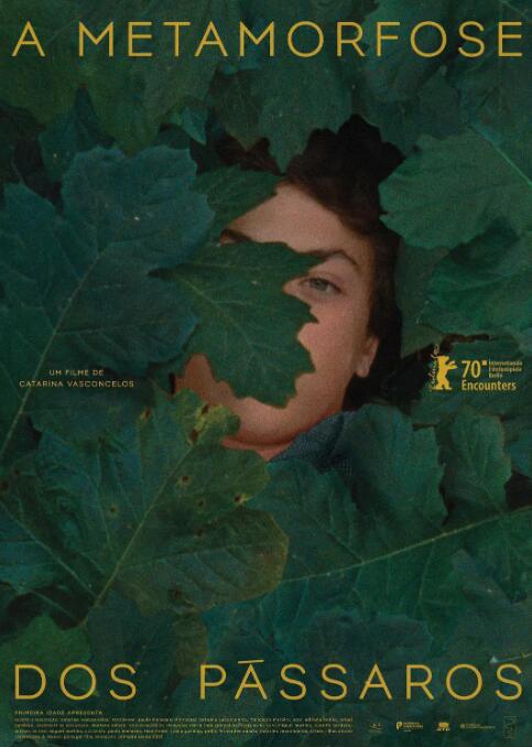 鳥類變形記(全集)