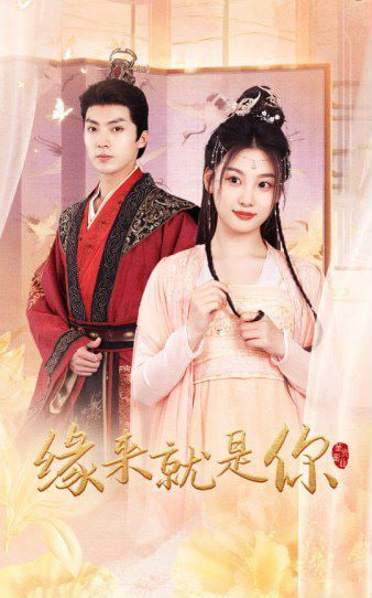 新版：緣來就是你(全集)