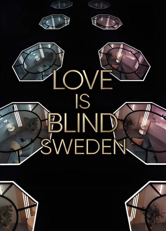 愛情盲選：瑞典篇 第二季(全集)