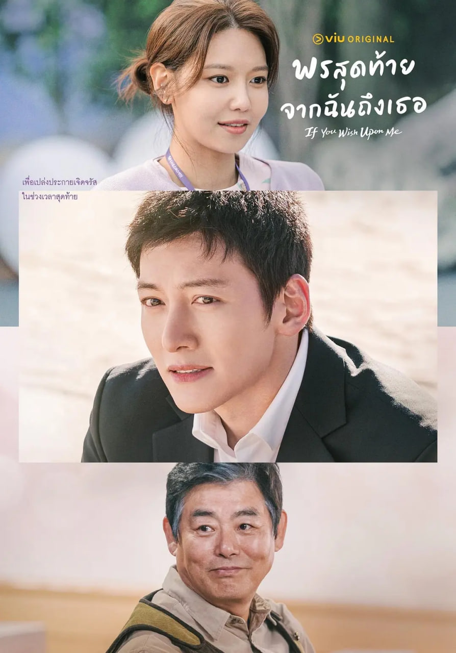 若你說出愿望(全集)