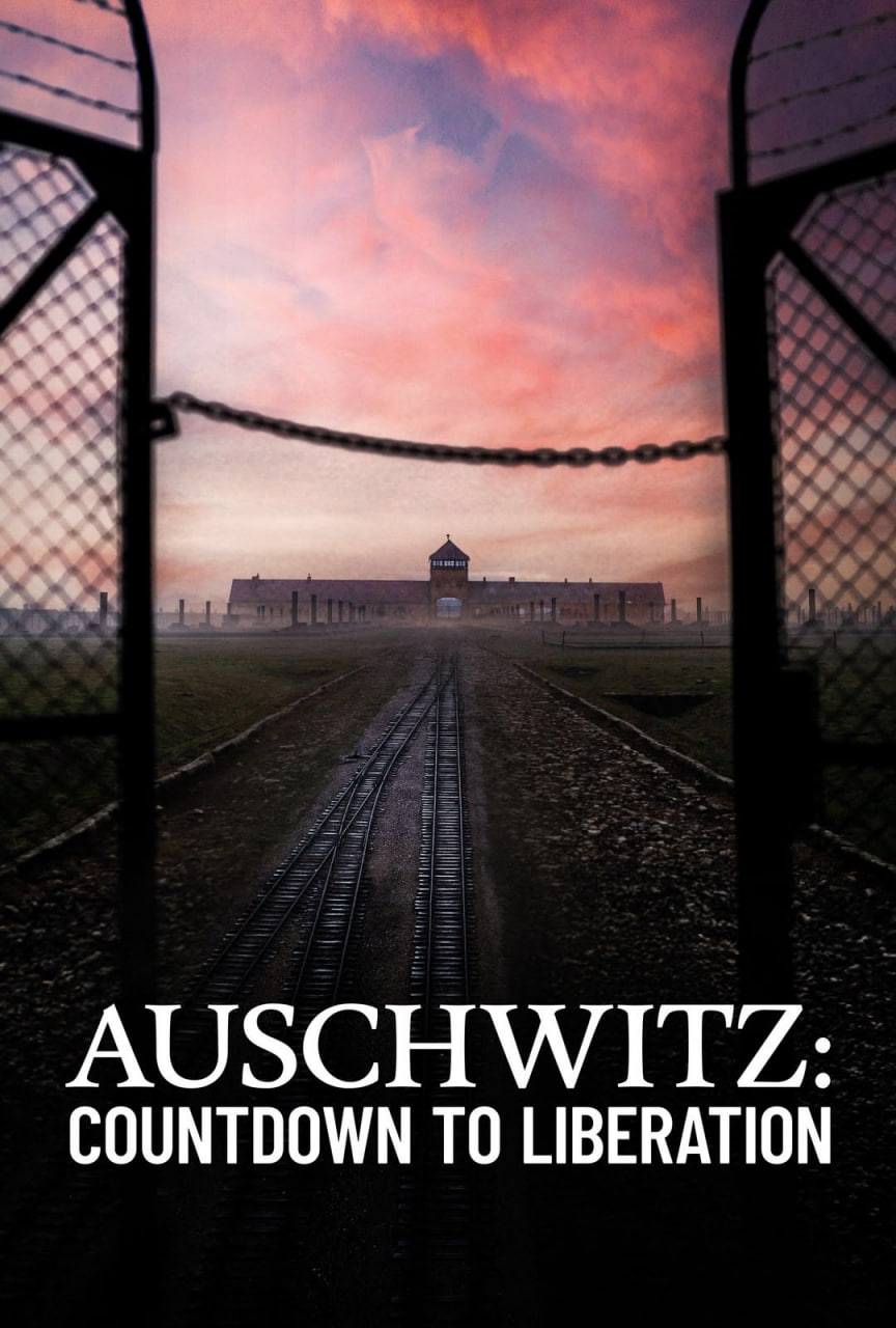 奧斯維辛：解放倒計時(全集)