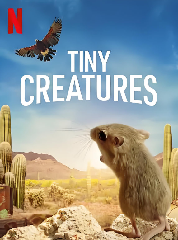 微觀世界(全集)