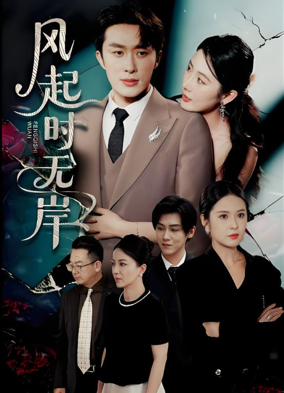 風(fēng)起時(shí)無岸(全集)