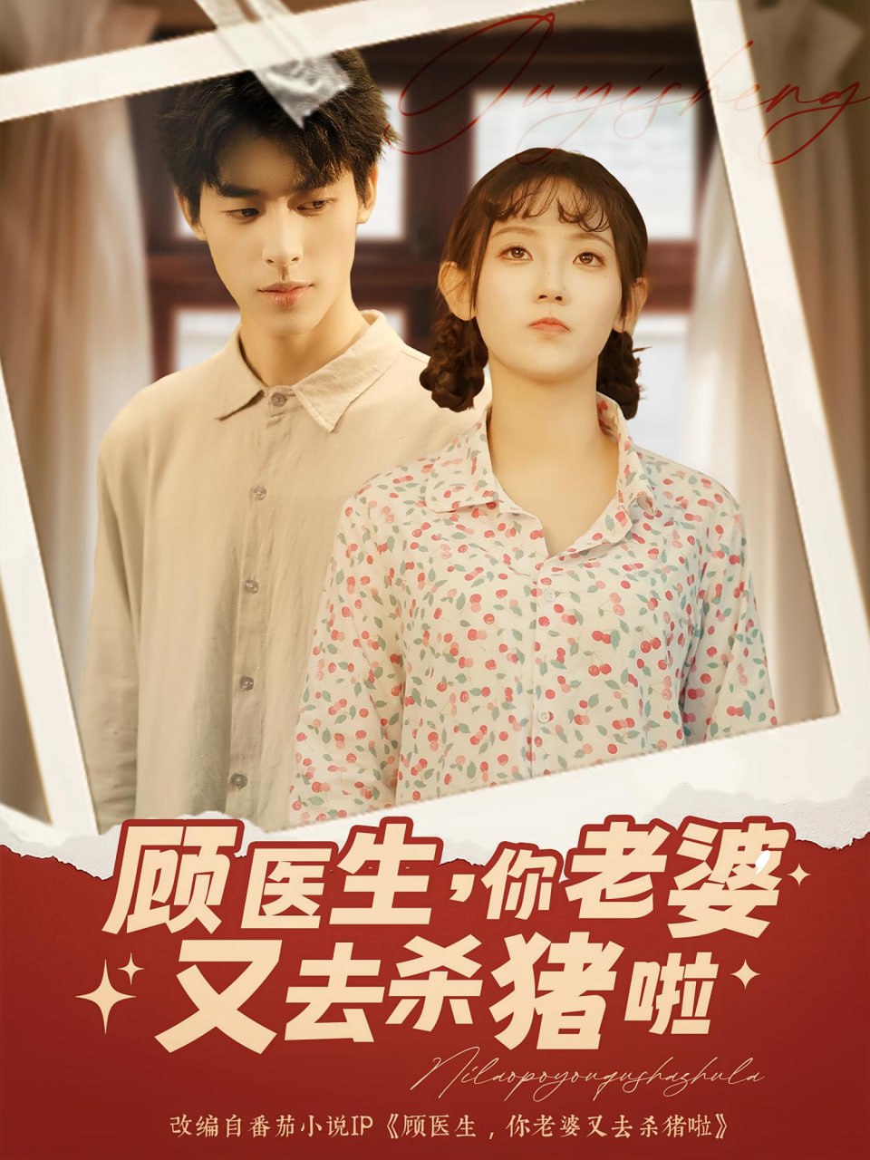 顧醫(yī)生你老婆又去殺豬啦(全集)