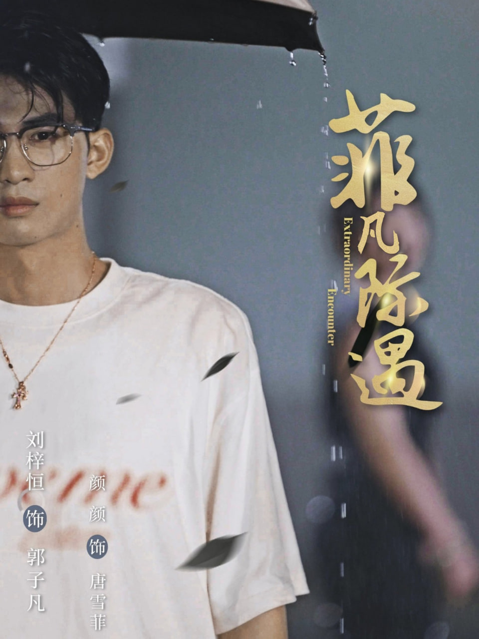 菲凡際遇(全集)