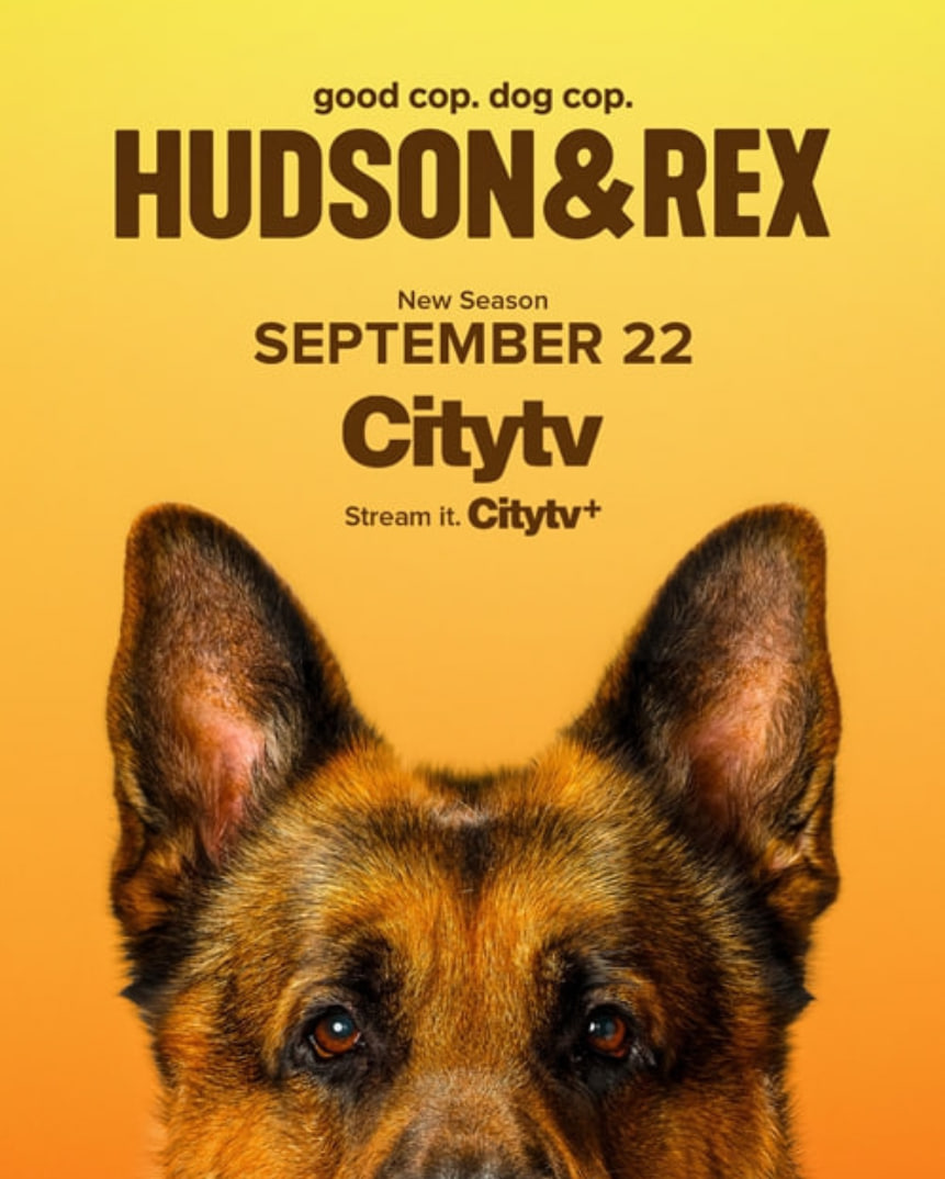 哈德森與雷克斯 第八季(全集)