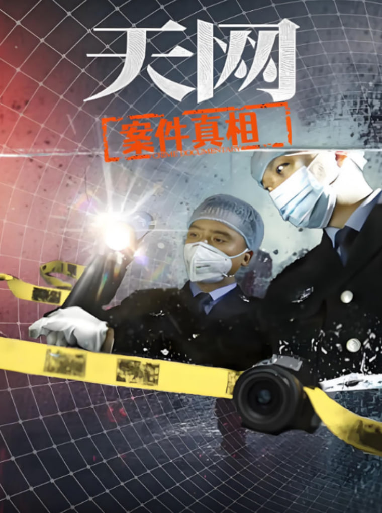 天網：案件真相(全集)