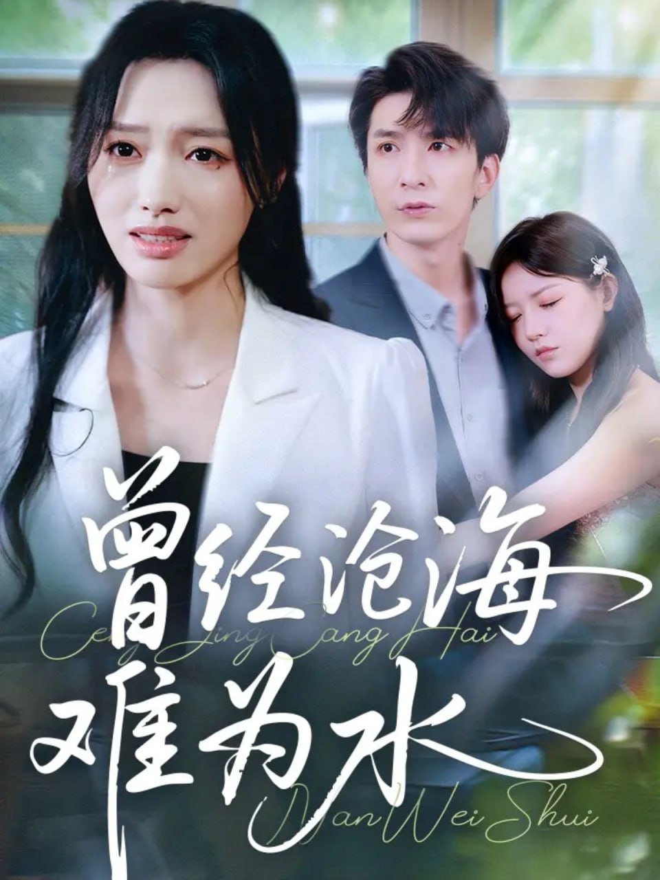 曾經(jīng)滄海難為水 2025(全集)