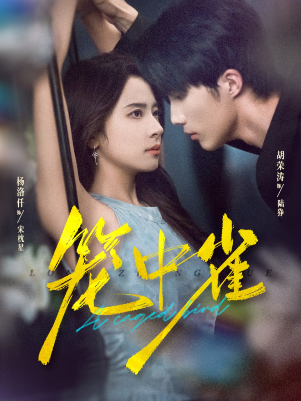 籠中雀 2025(全集)