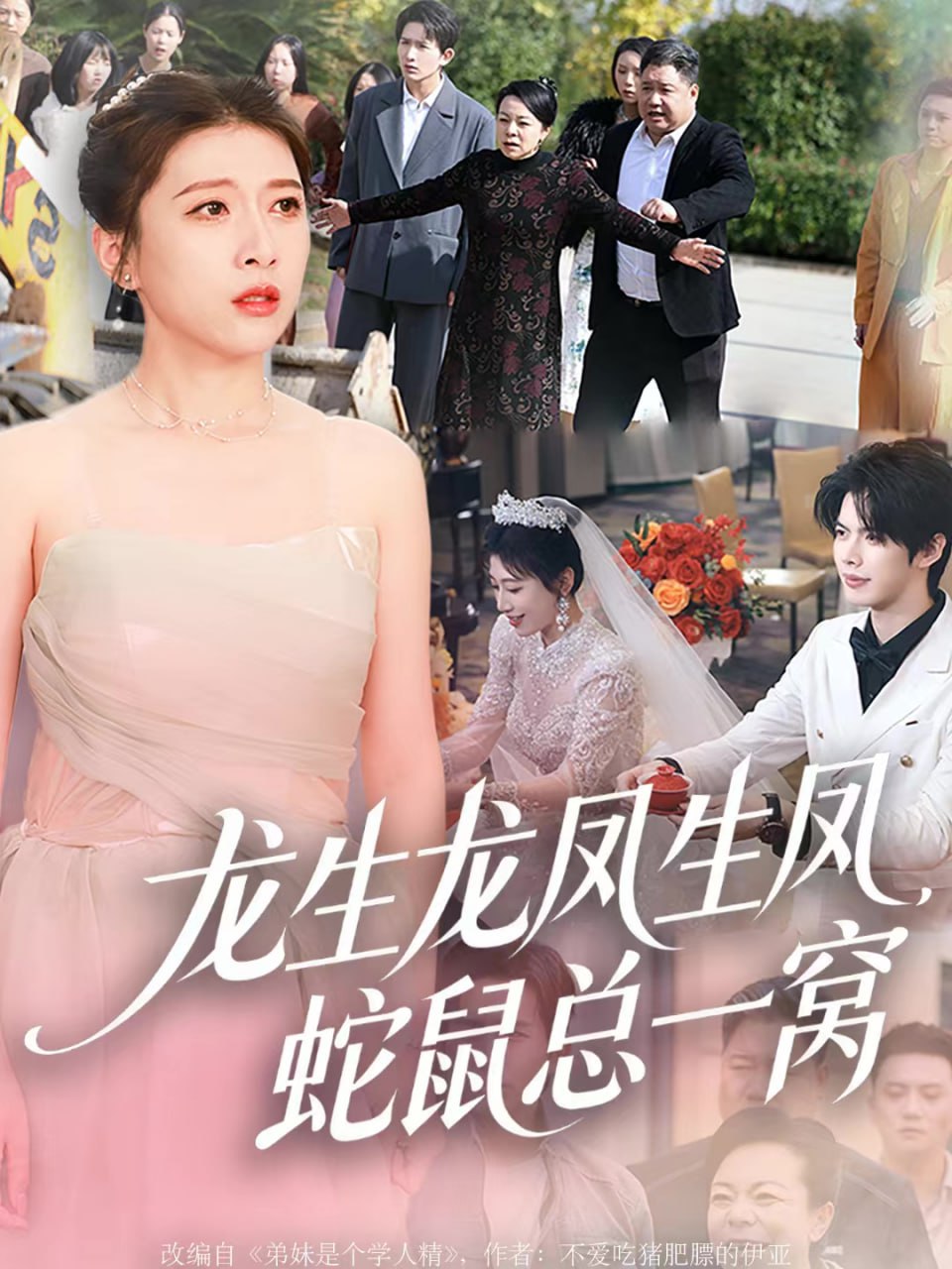 龍生龍鳳生鳳，蛇鼠總一窩(全集)