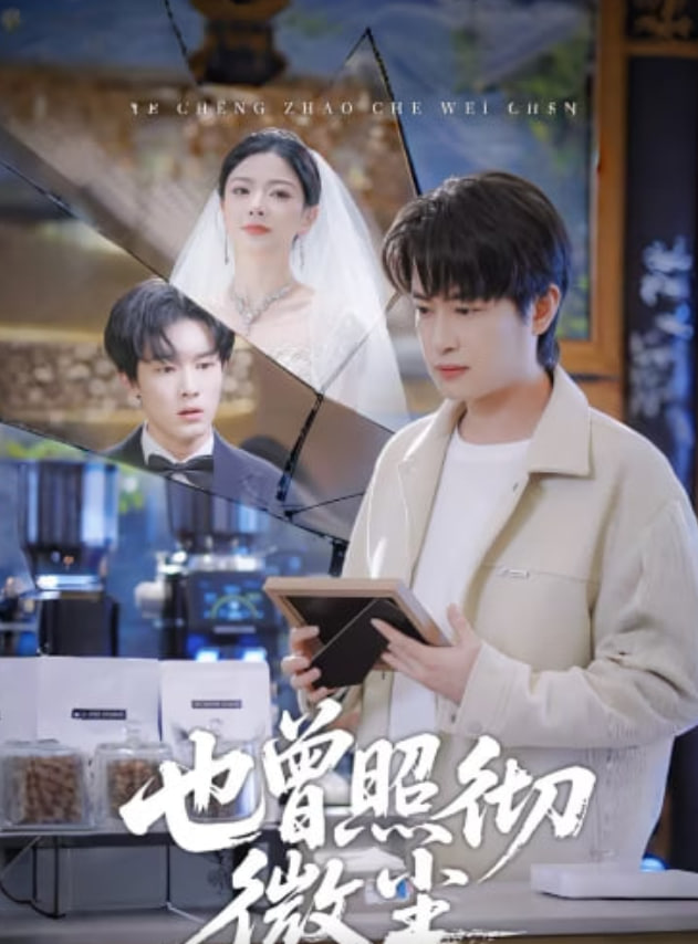 也曾照徹微塵(全集)