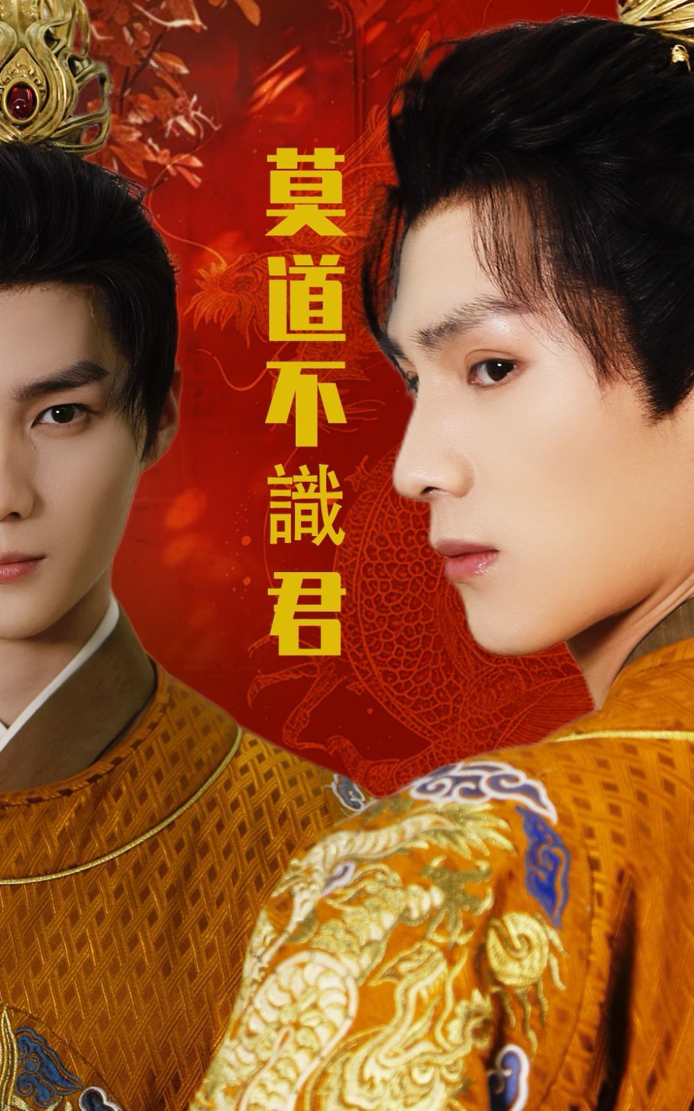 莫道不識君(全集)