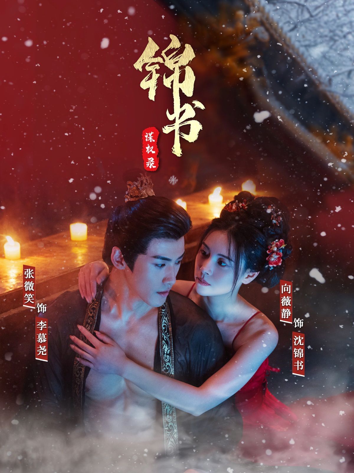 錦書謀權錄(全集)