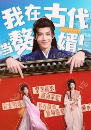 我在古代當(dāng)贅婿(全集)